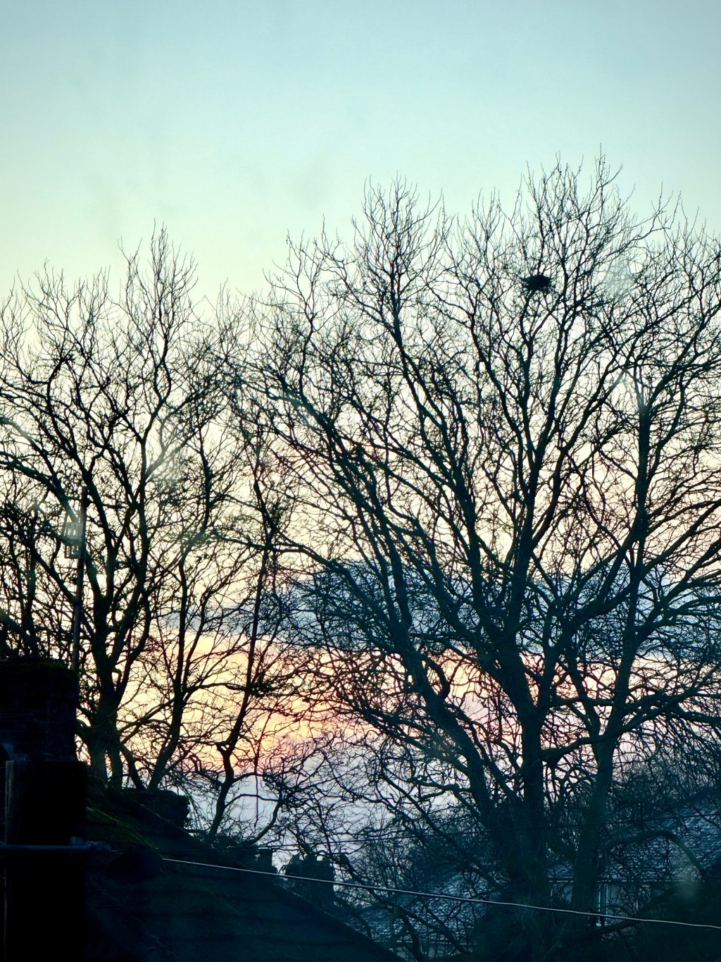 What Trees Say When No One&nbsp;Stays