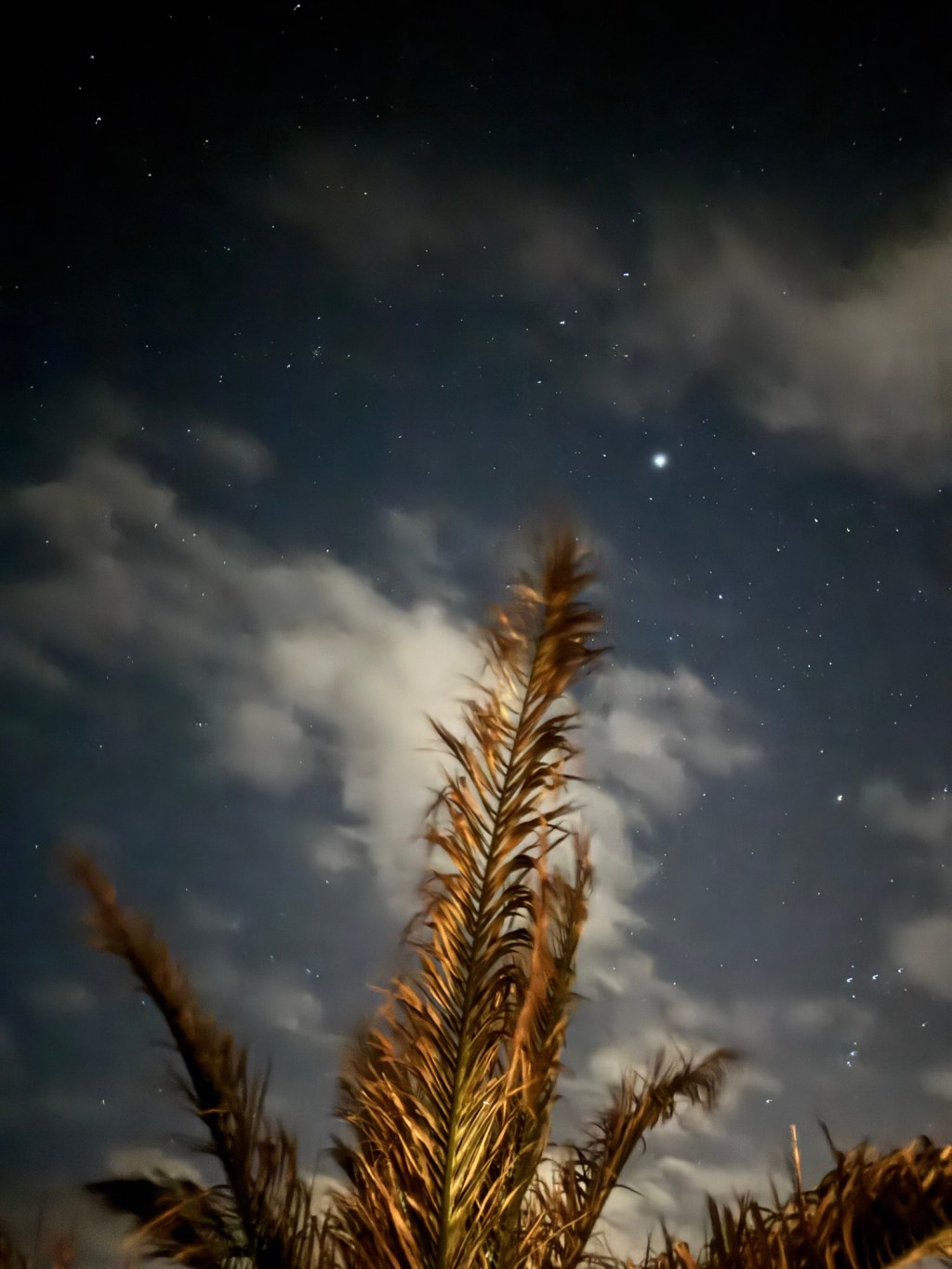 It Will Be Beautiful