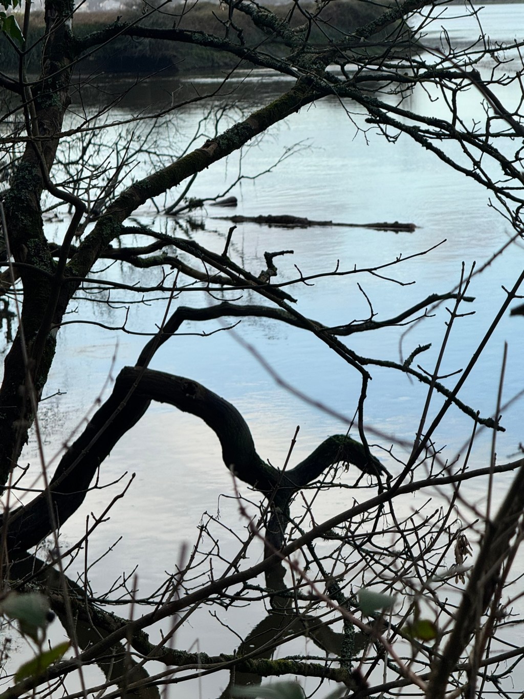 Many Faces of&nbsp;Emptiness