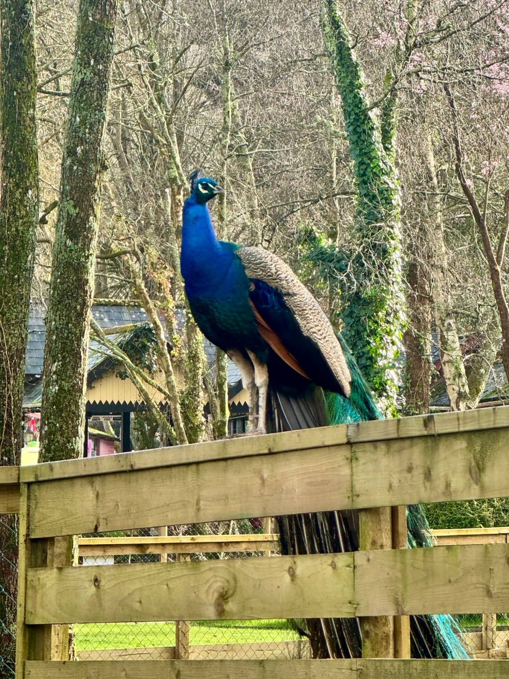 A Word Called&nbsp;Handsome