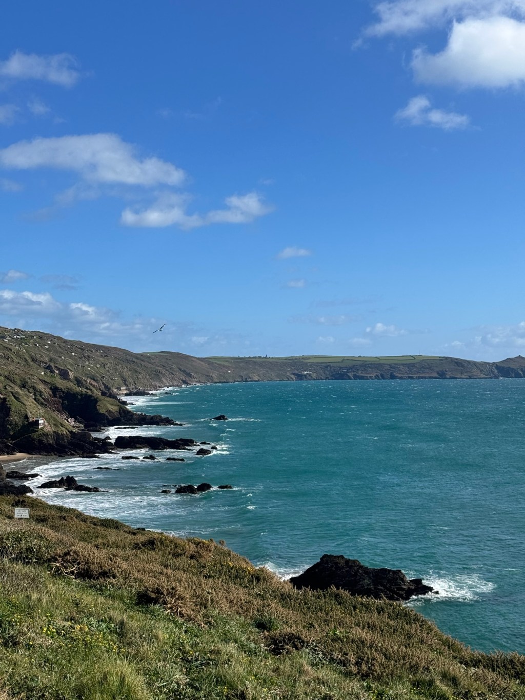 The Illusion of “I”