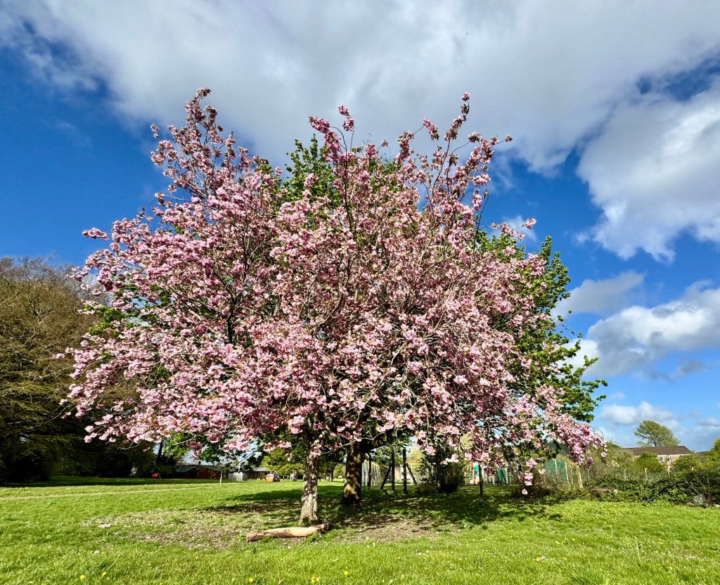 The Rumor, The Slap, The Photo | A One-Sided Love&nbsp;Story
