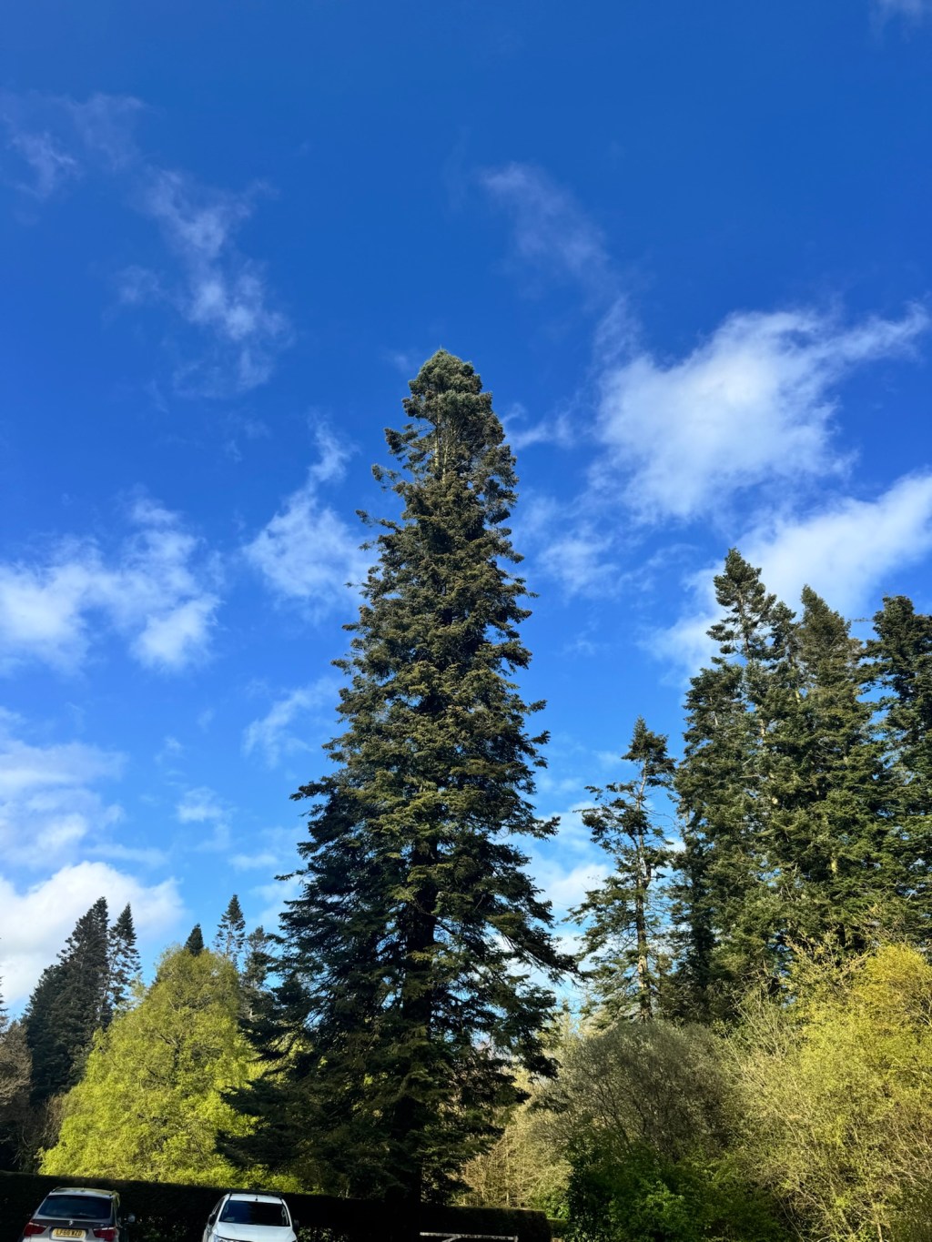 The Last Flight of Hope