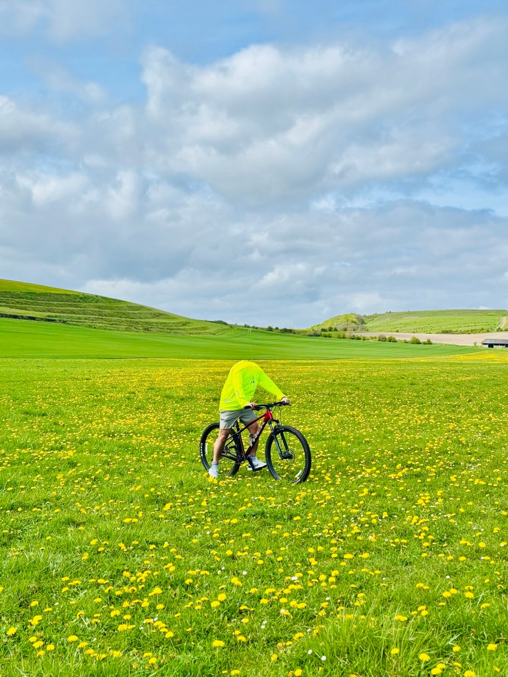 The Ride Through Mustard&nbsp;Fields