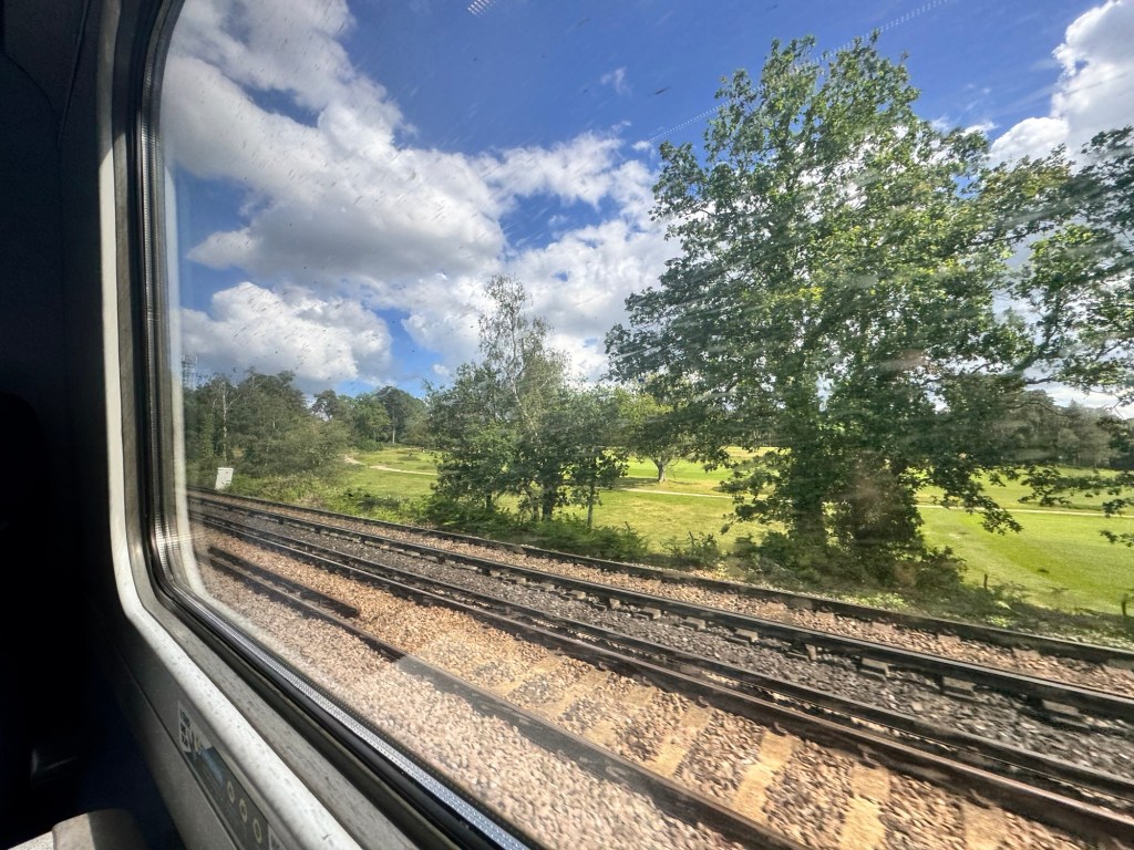 Watching the Sceneries